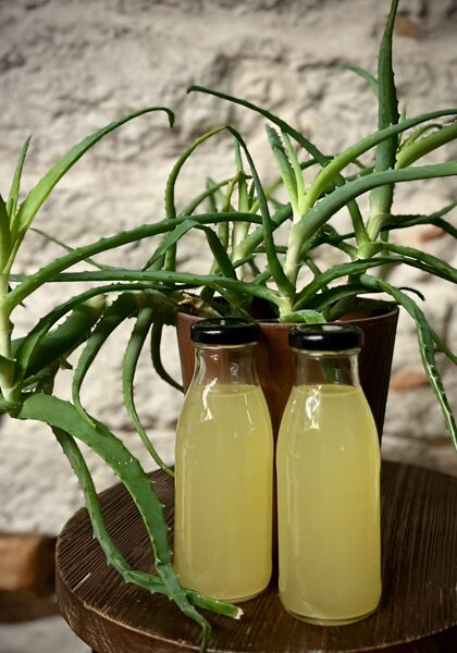 Aloe vera mahl, 250 ml